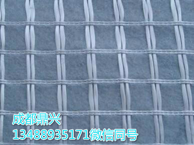 經(jīng)編玻纖、滌綸復(fù)合土工布