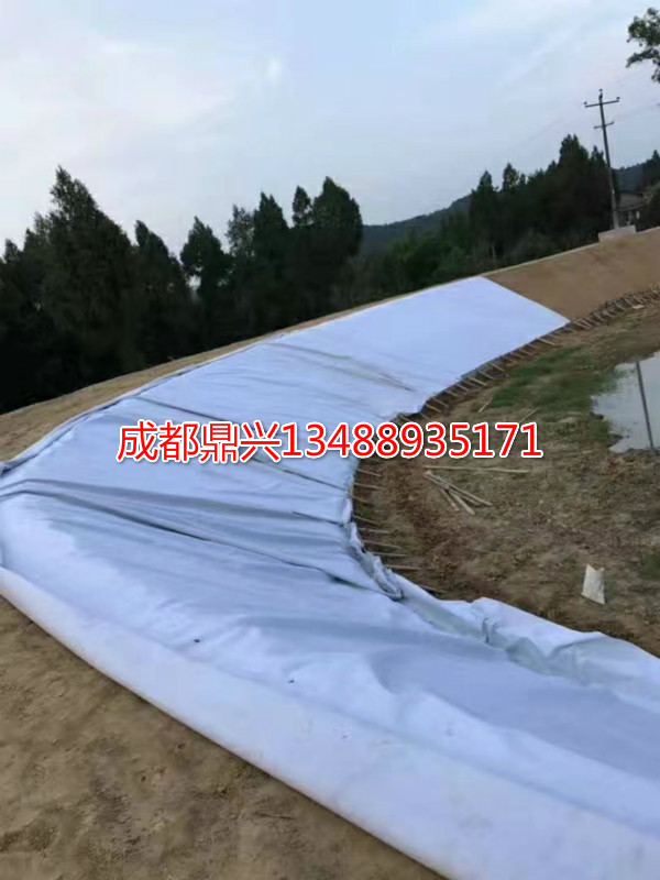 藕池(魚(yú)塘)防滲土工膜