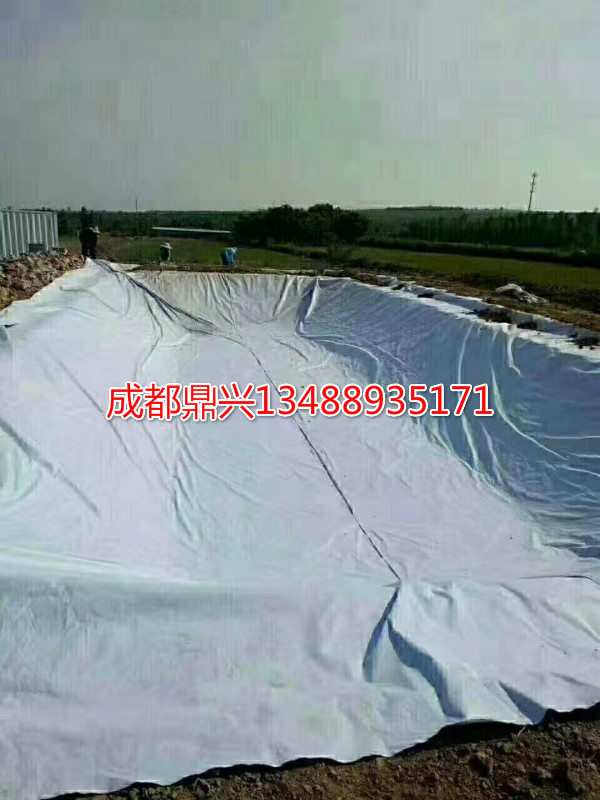 藕池(魚(yú)塘)防滲土工膜