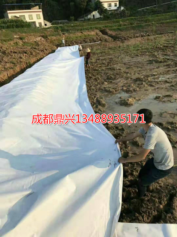 藕池(魚塘)防滲土工膜