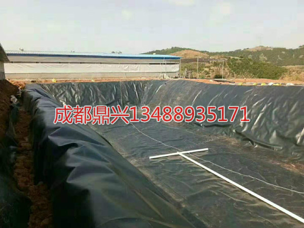 藕池(魚(yú)塘)防滲土工膜