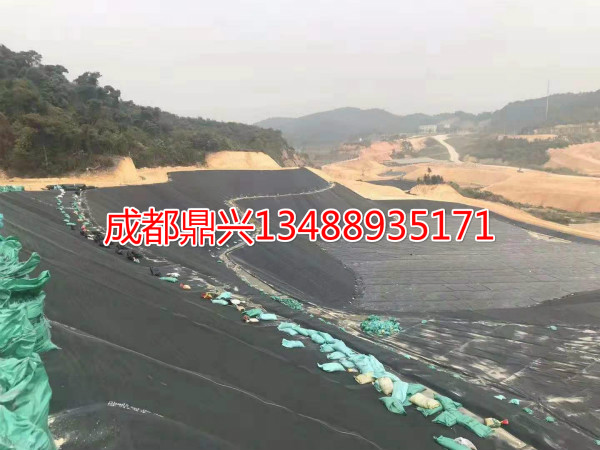 光滑平面和紋理糙面PE土工膜